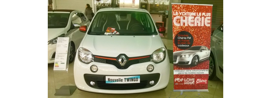 RENAULT TWINGO s'expose à comboire