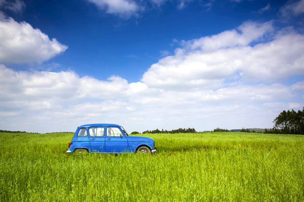 Renault 4L Verte