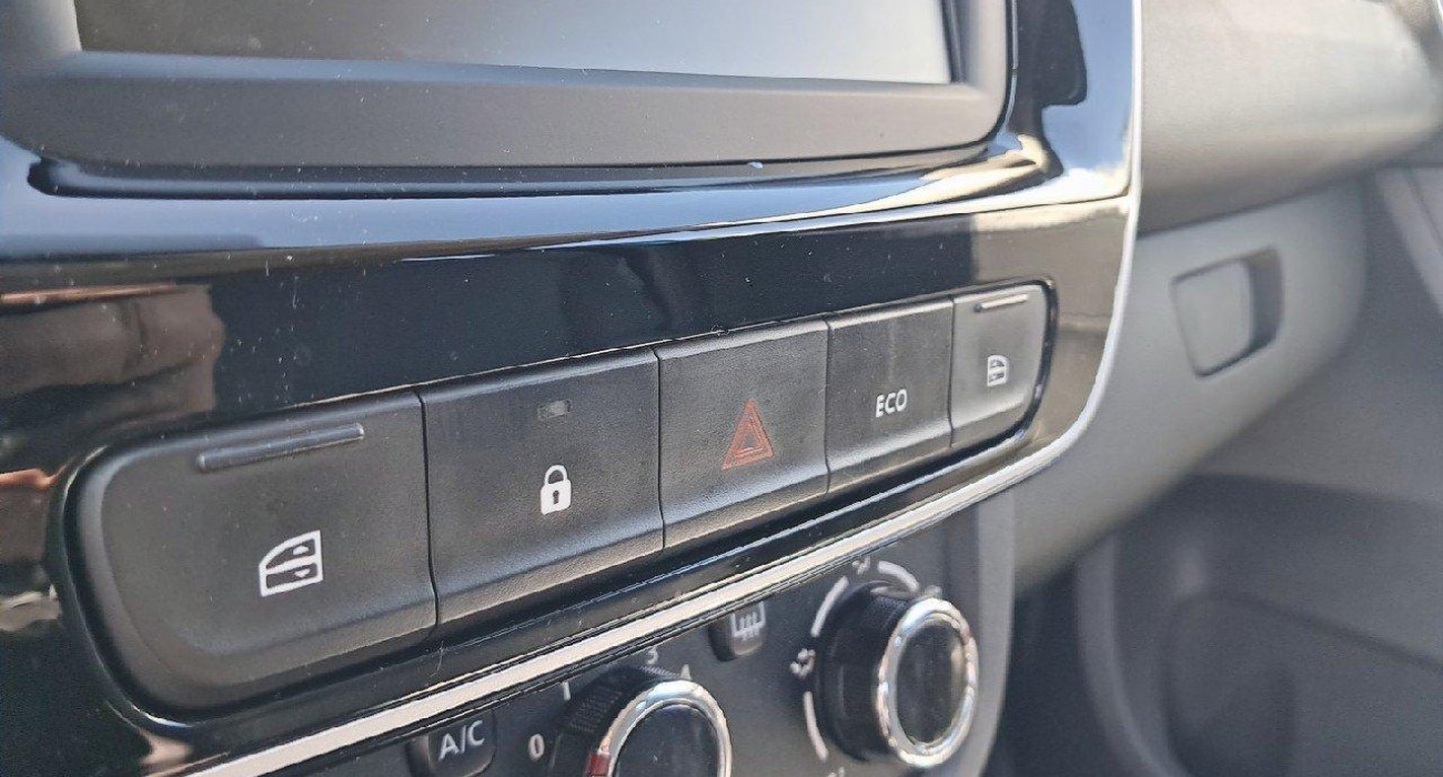 Dacia SPRING Expression 9