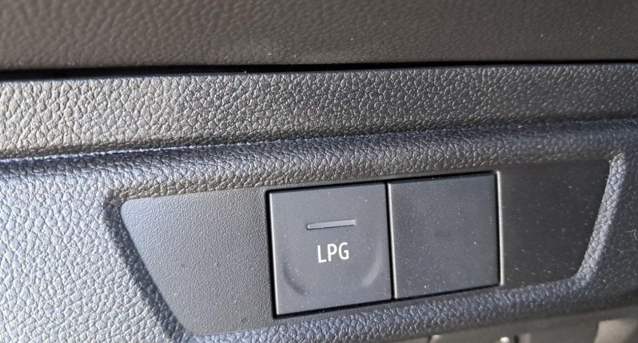 Dacia SANDERO ECO-G 100 Stepway Expression 15