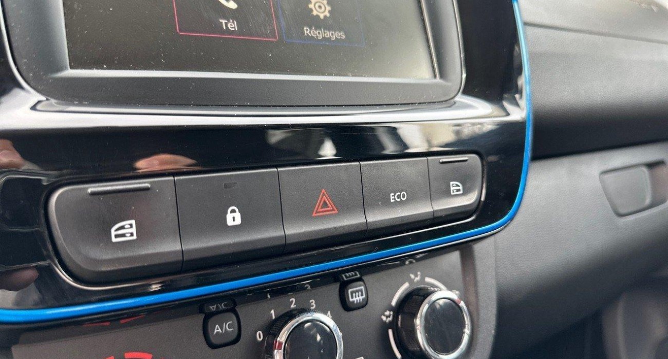 Dacia SPRING Achat Intégral Business 2020 9