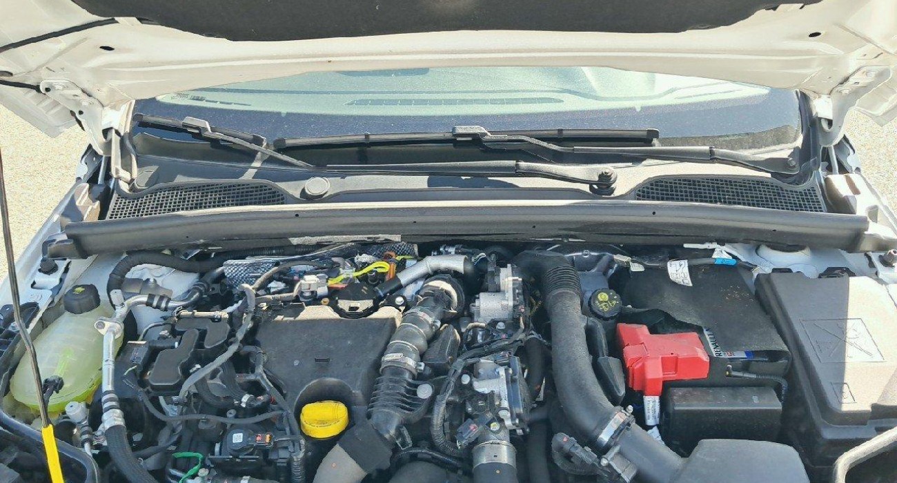 Renault CLIO Clio Blue dCi 100 Evolution 14