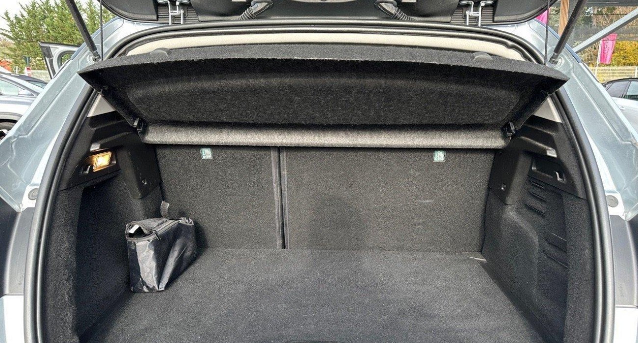 Renault CAPTUR TCe 100 GPL - 21 Intens 12