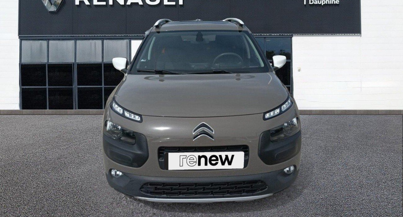 Citroen C4 C4 Cactus PureTech 110 S&S Rip Curl 4